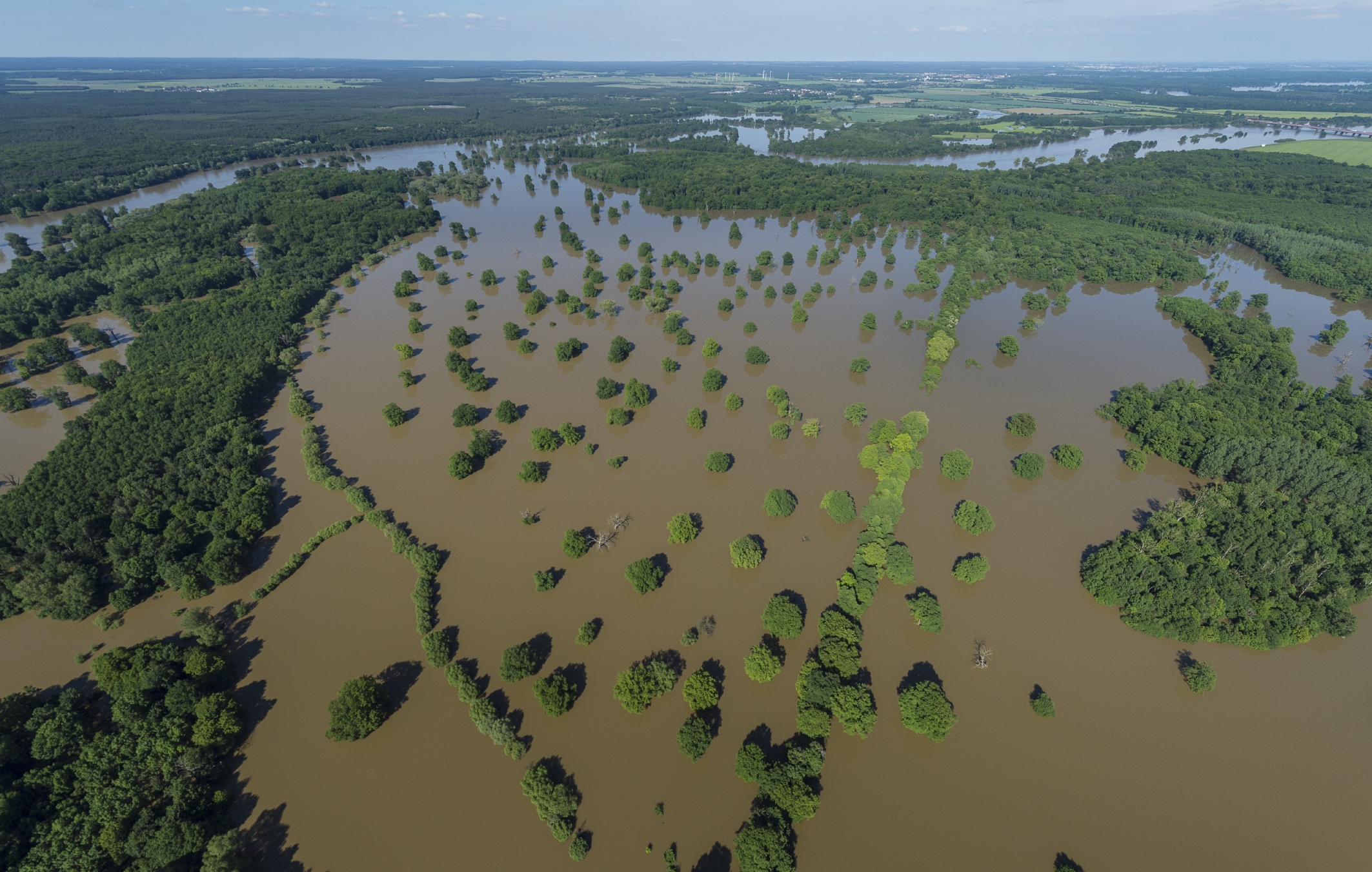 Elbe-Hochwasser Juni 2013 bei Dessau, Foto: André Künzelmann, UFZ Elbe-Hochwasser Juni 2013 bei Dessau, Foto: André Künzelmann, UFZ